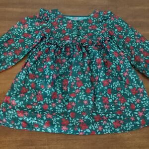Toddler girl holiday green poinciana long sleeve holiday Dress kids size 4 GUC